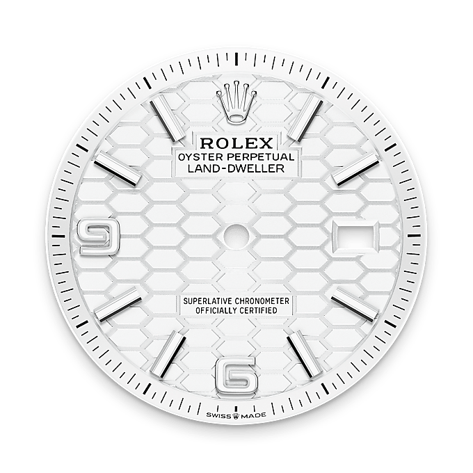 rolex Land-Dweller em Rolesor branco – combinação de aço Oystersteel e ouro branco, m127234-0001 - Danglar