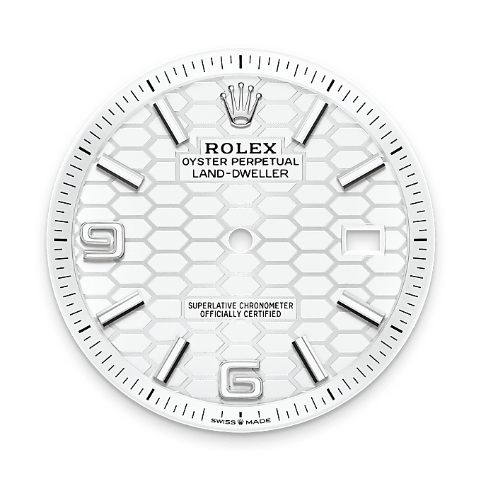 rolex Land-Dweller em Rolesor branco – combinação de aço Oystersteel e ouro branco, m127334-0001 - Danglar