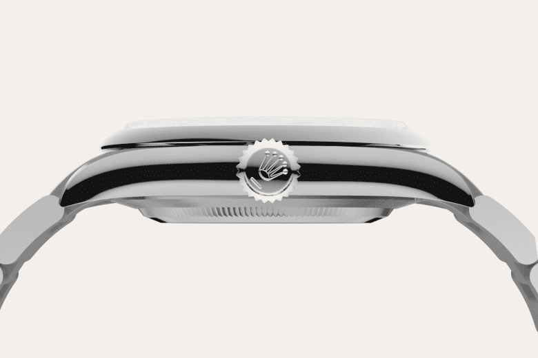 rolex Oyster Perpetual em Aço Oystersteel, m134300-0006 - Danglar