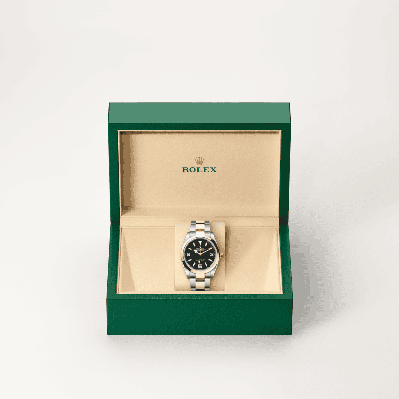 rolex Explorer em Rolesor amarelo – combinação de aço Oystersteel e ouro amarelo, m124273-0001 - Danglar
