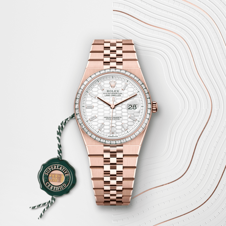 rolex Land-Dweller em Ouro Everose 18 quilates, m127285tbr-0002 - Danglar
